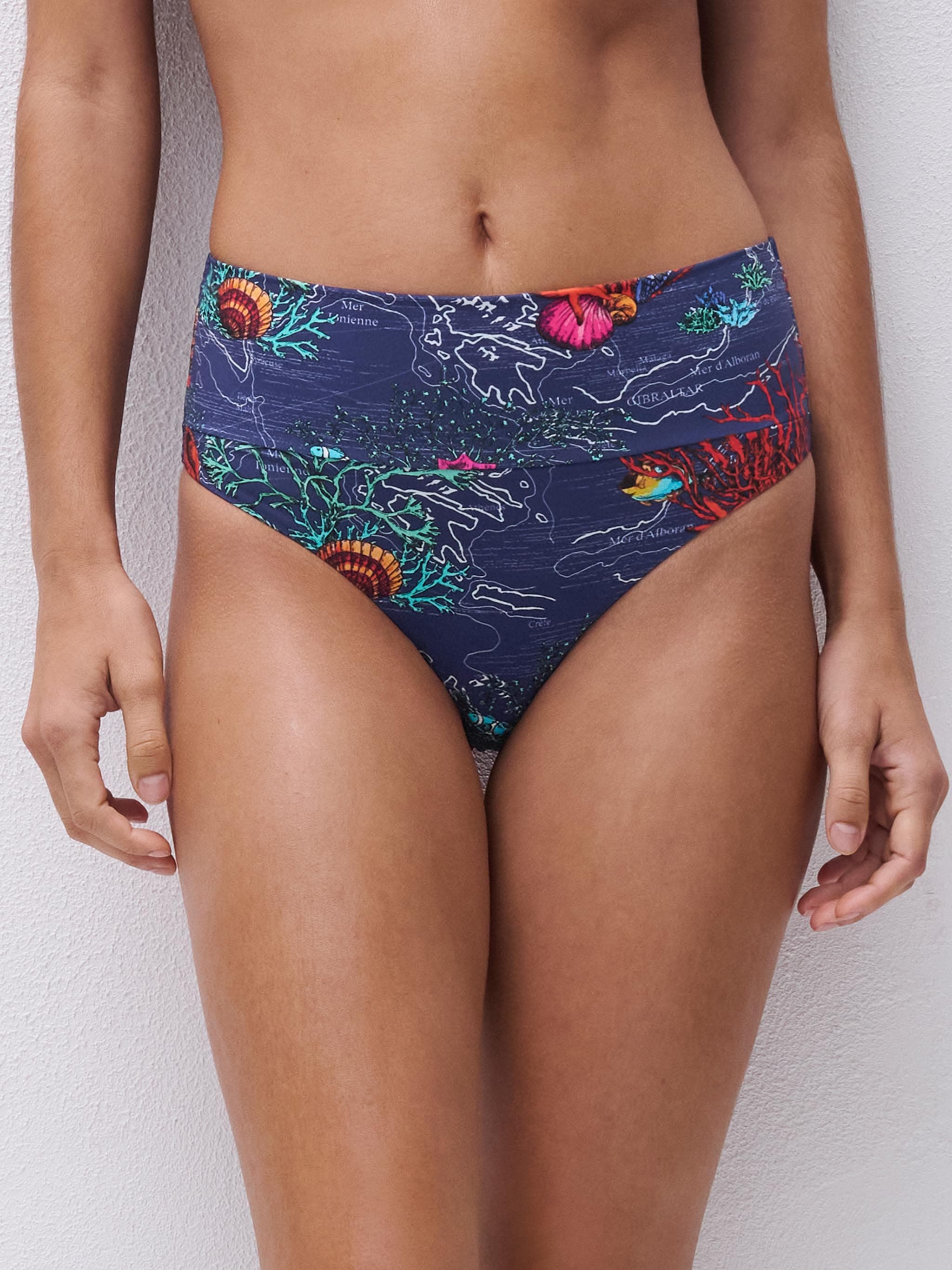 Bikini Taillenslip - Dark mediterranean