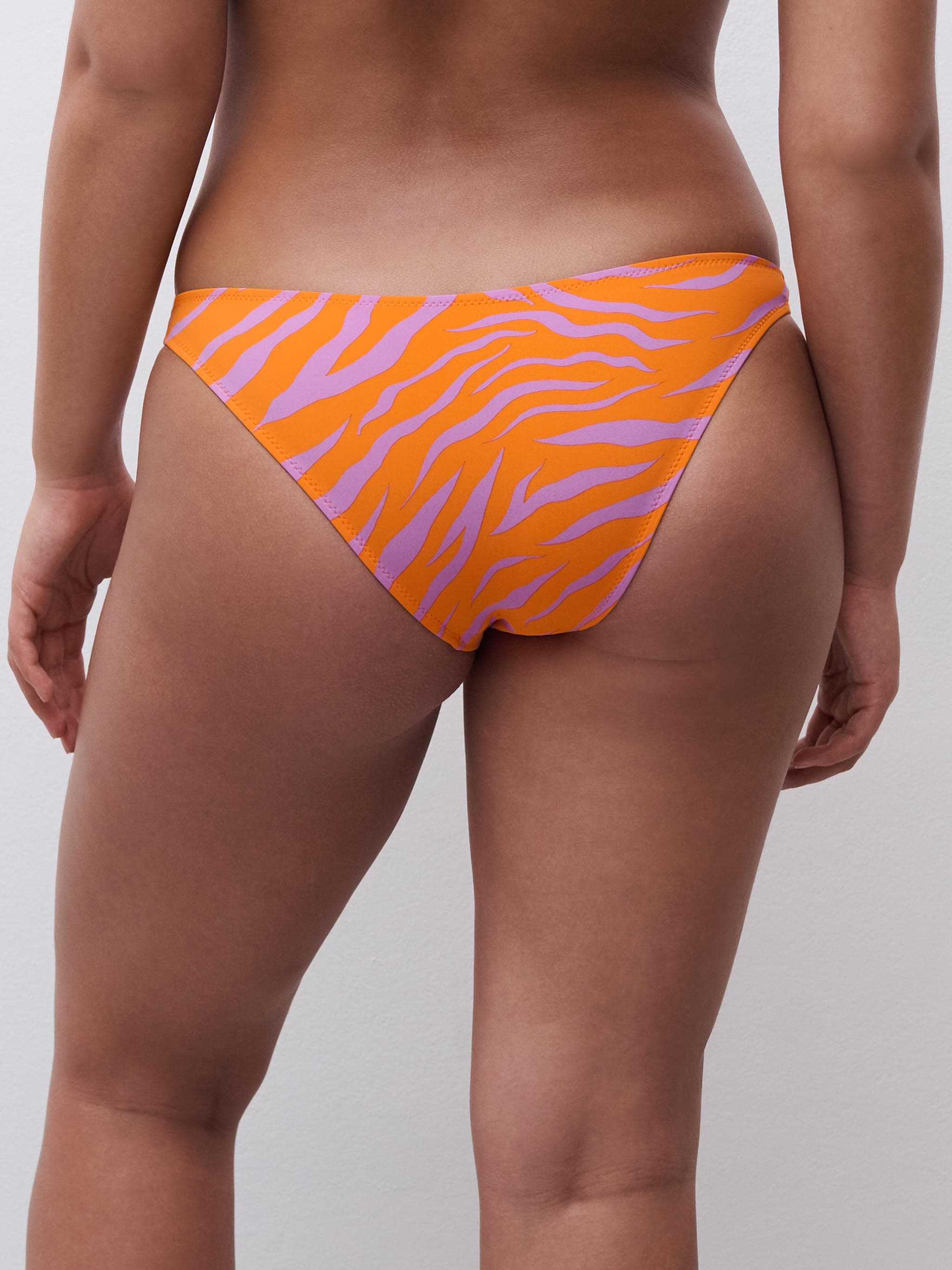 Bikini Slip - Bold Zebra