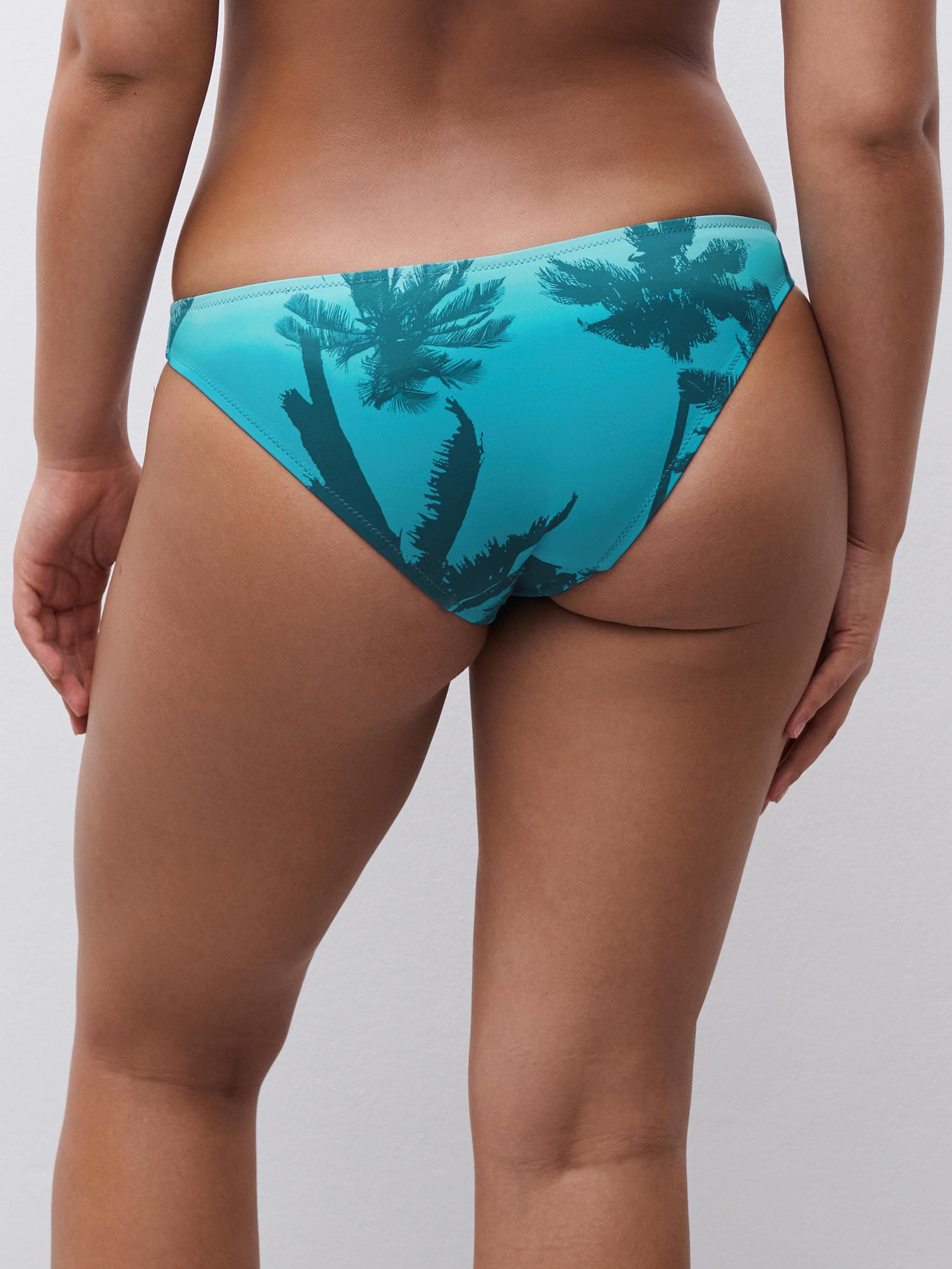 Bikini Slip - Malibu Palms