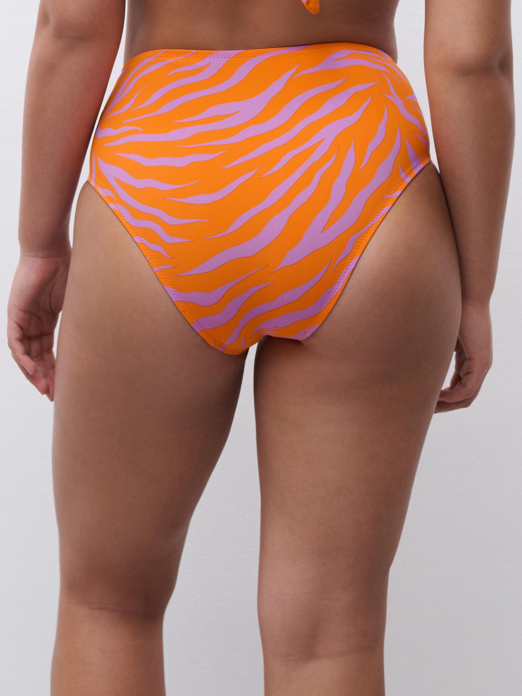 Bikini Taillenslip - Bold Zebra