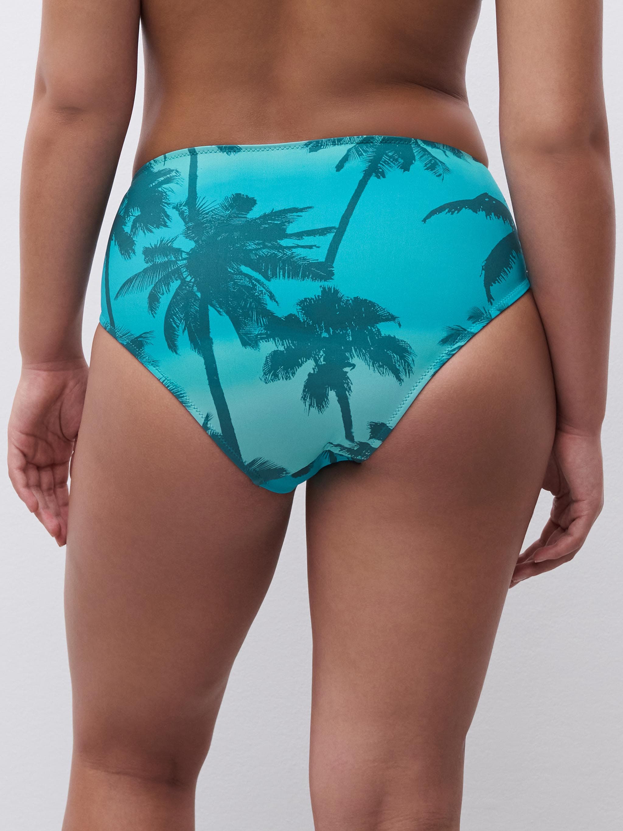 Bikini Taillenslip - Malibu Palms