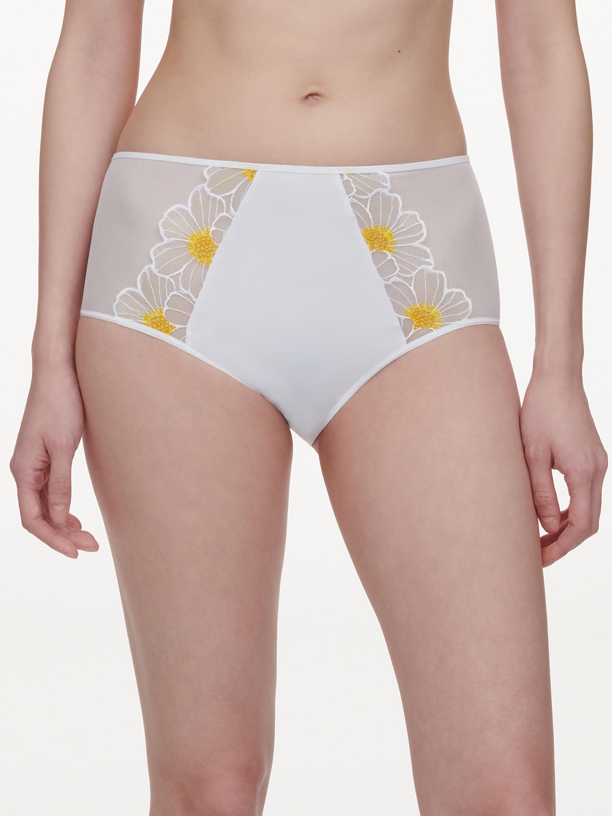 Taillenslip - Daisy