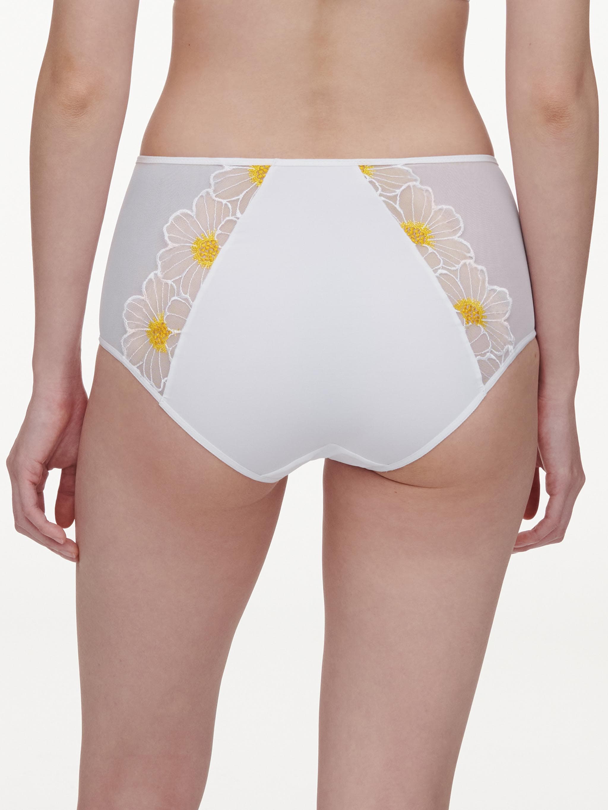 Taillenslip - Daisy