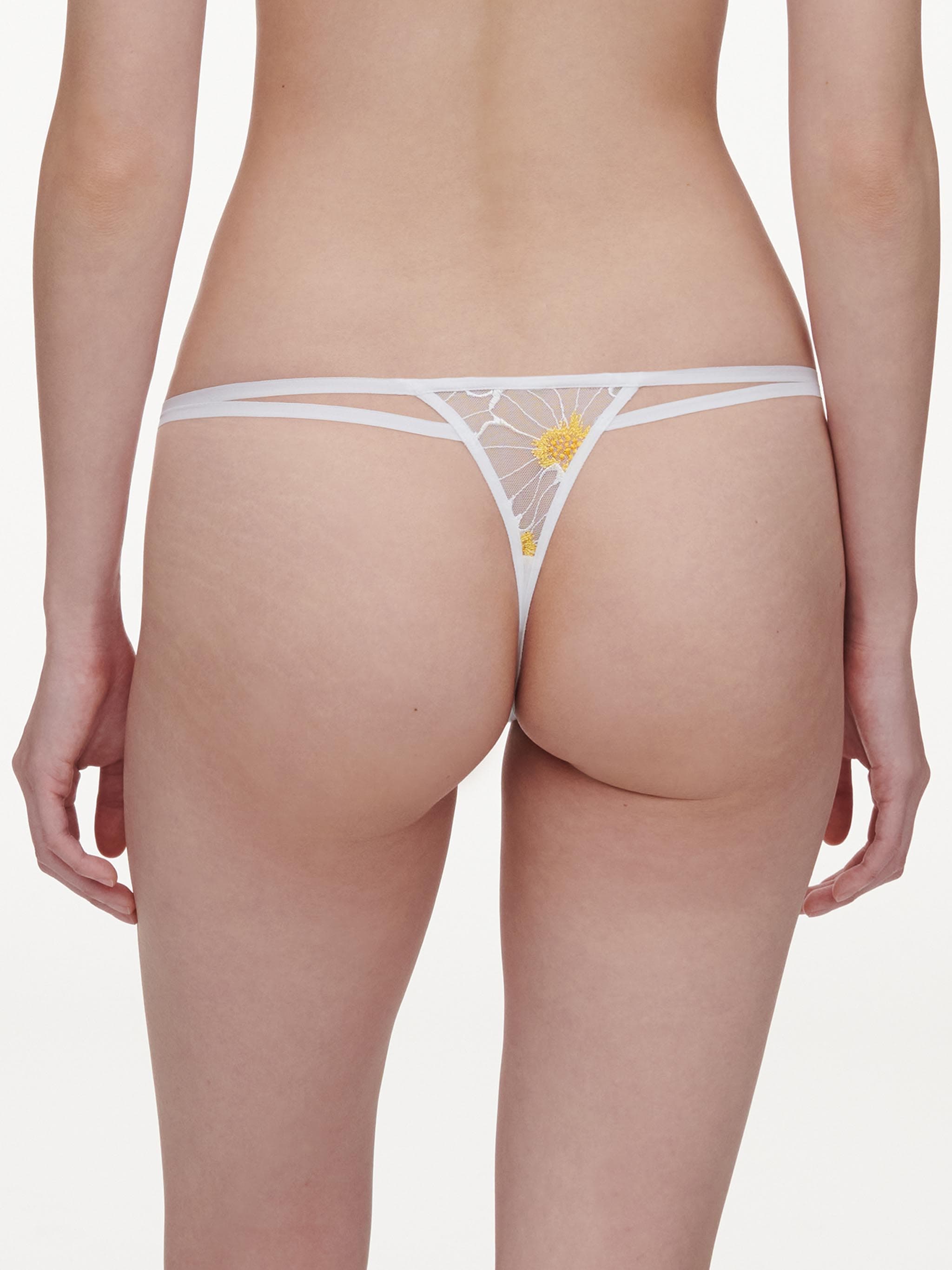 Tanga - Daisy