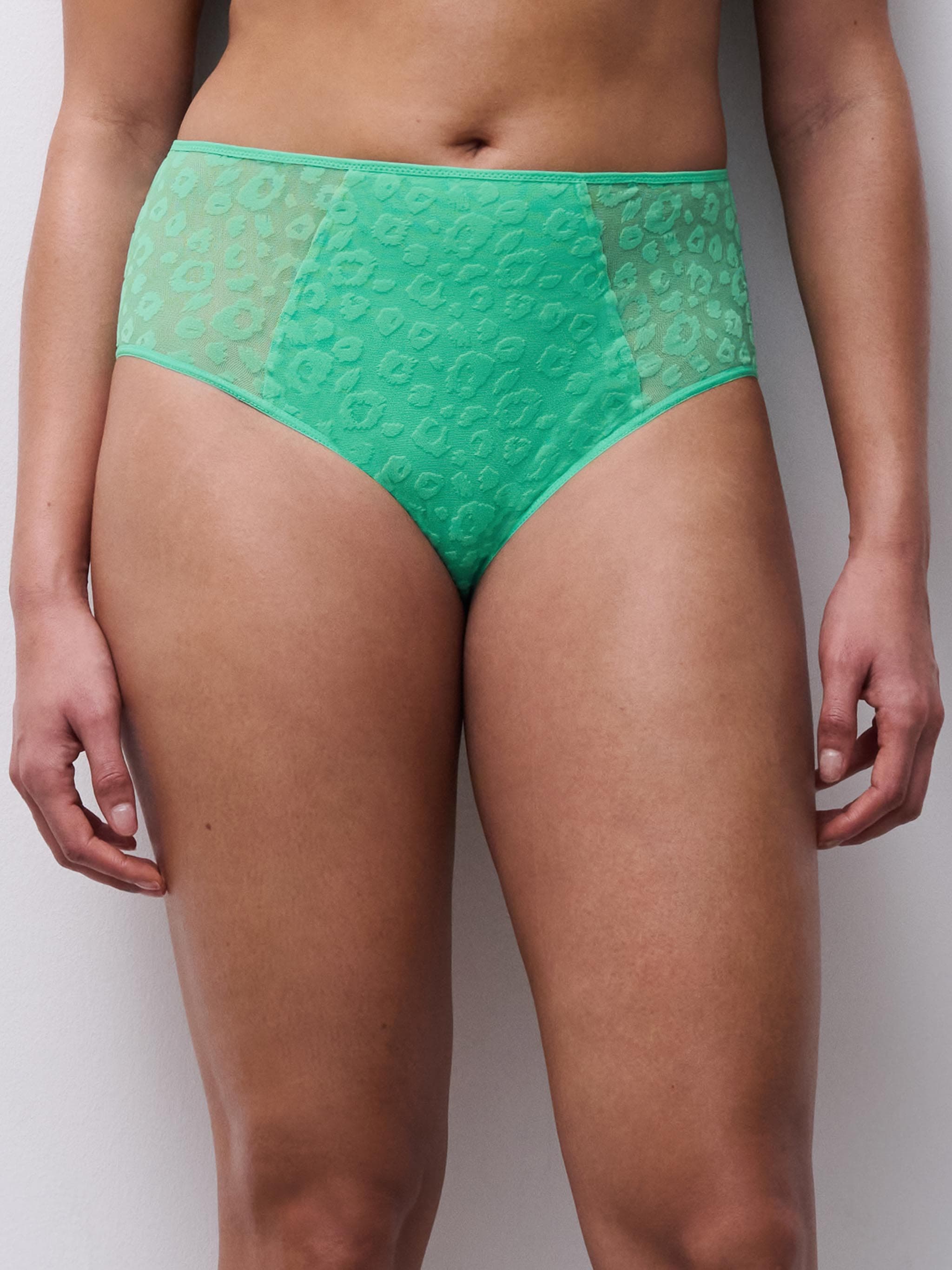 Taillenslip - Firefly