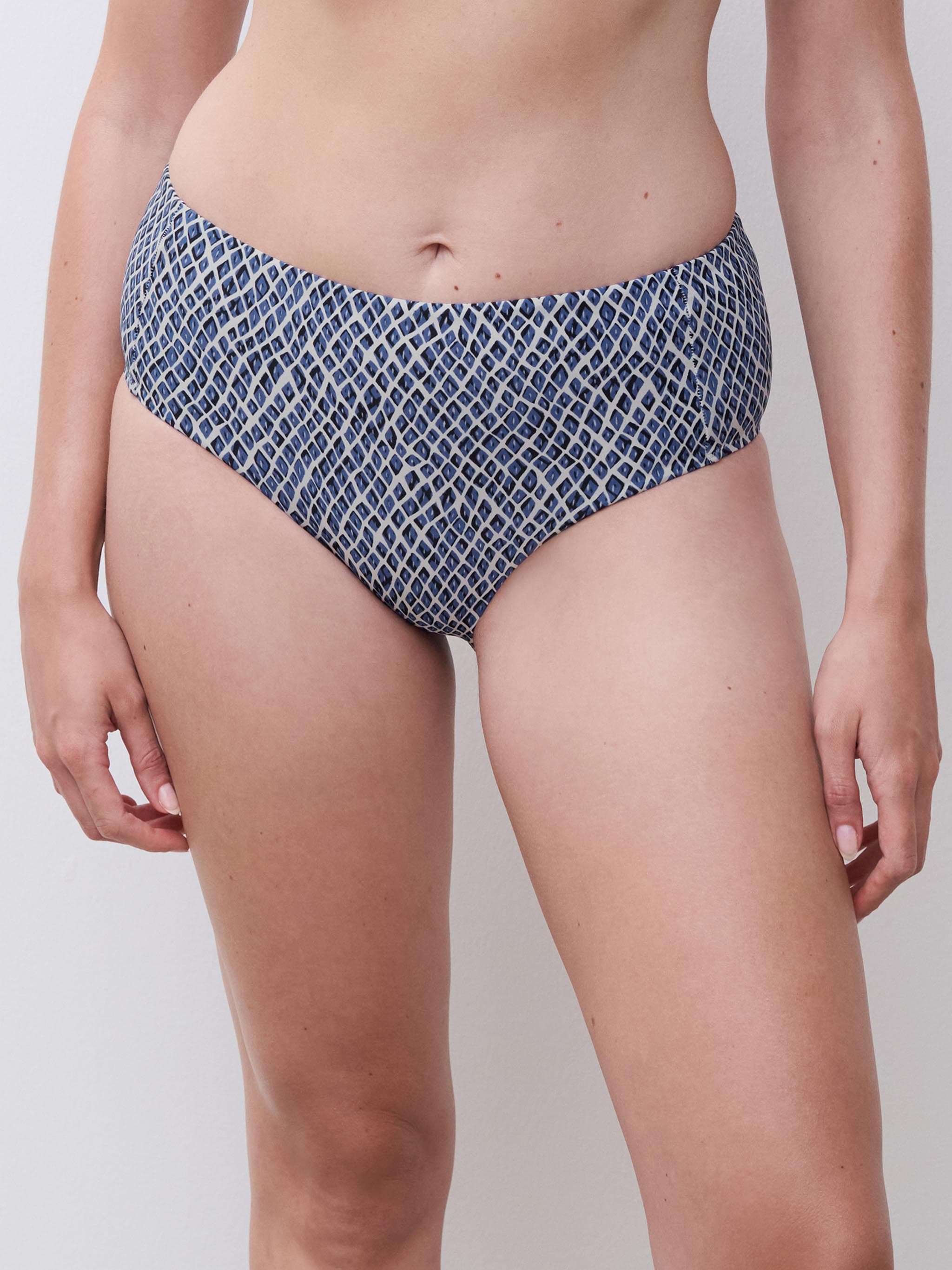 Bikini Taillenslip - Blau Reptile