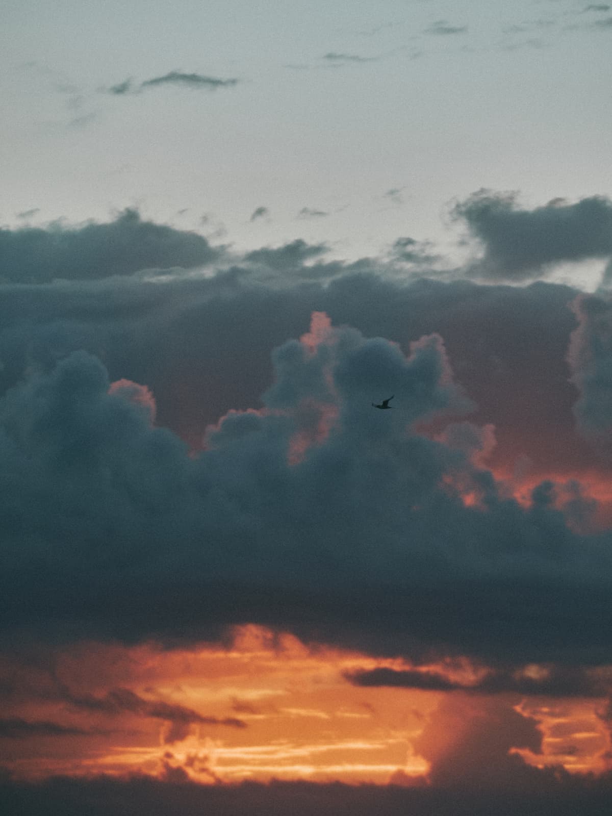 Bikini Bügel BH - Solar psyche