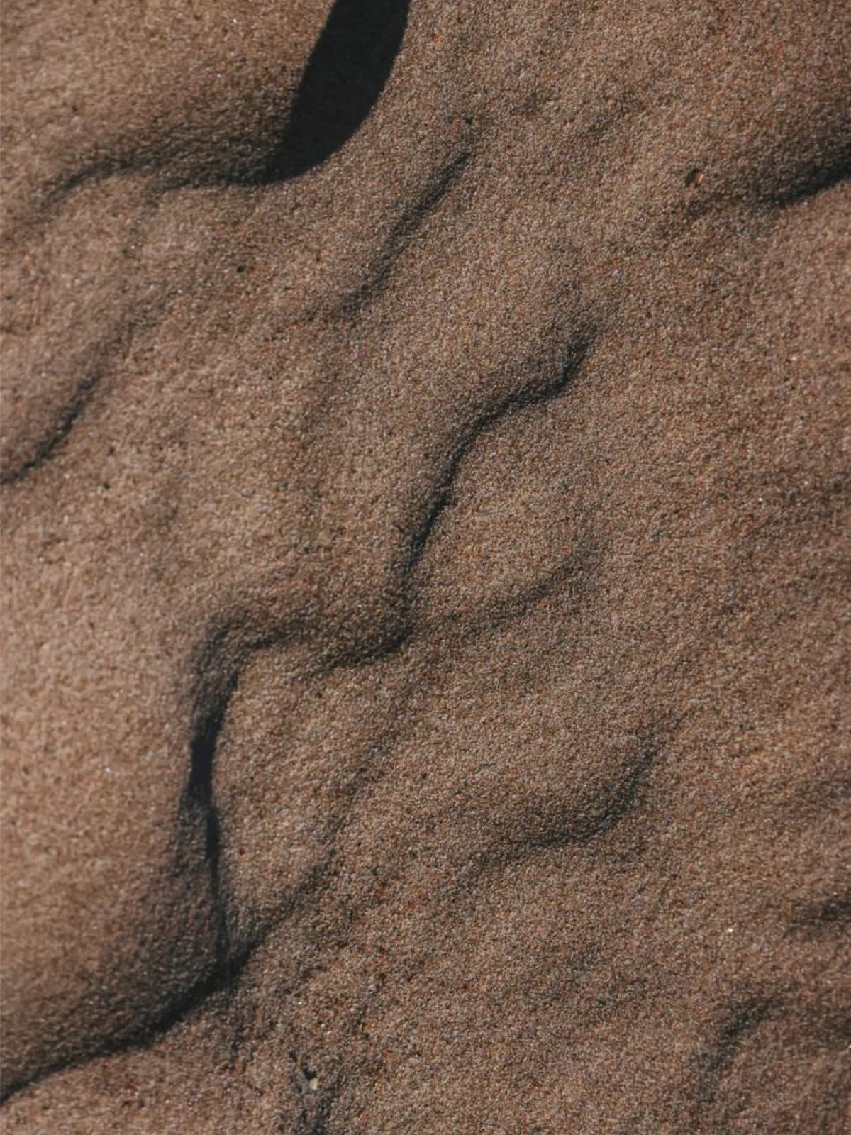 Bikini Bügel BH - Tiger