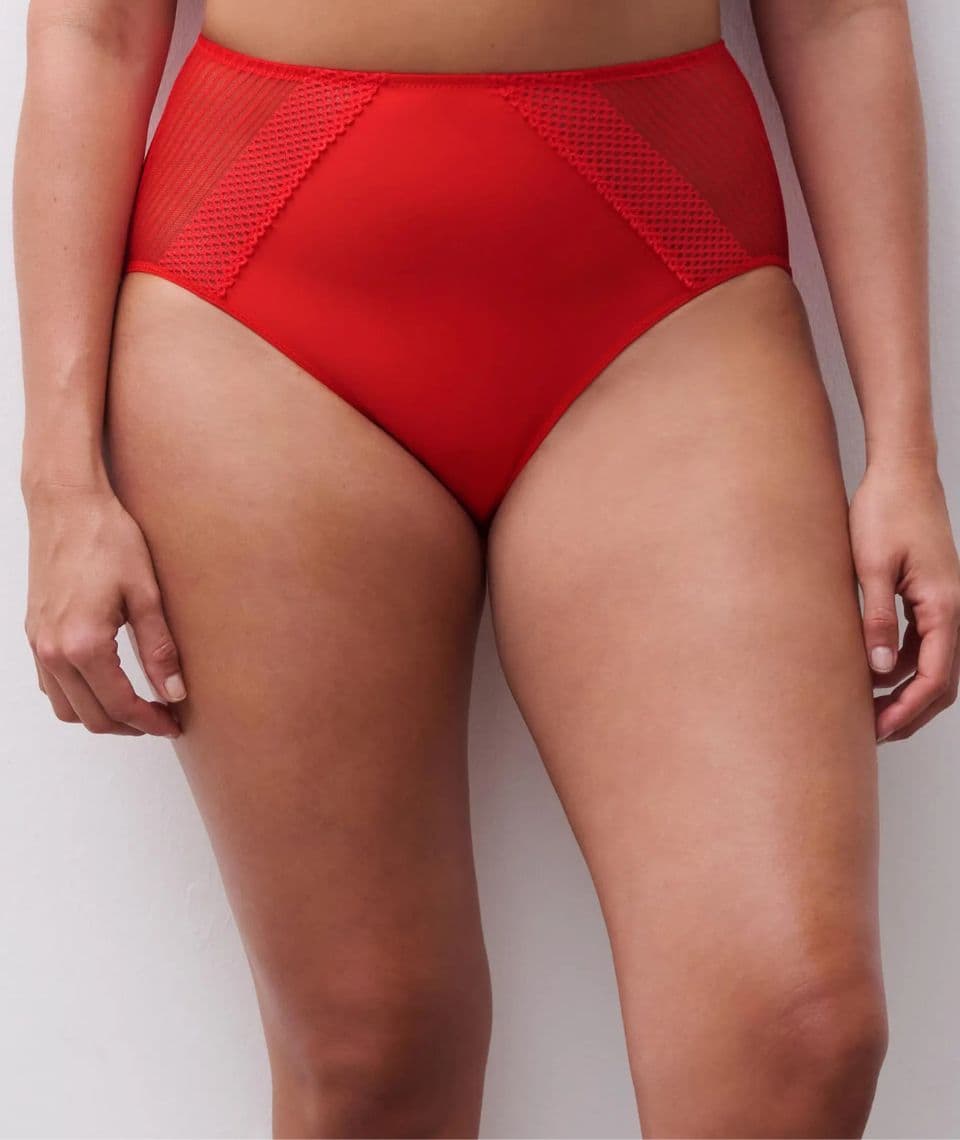 Person wearing high-waisted red underwear with mesh panel details, standing against a plain white background.