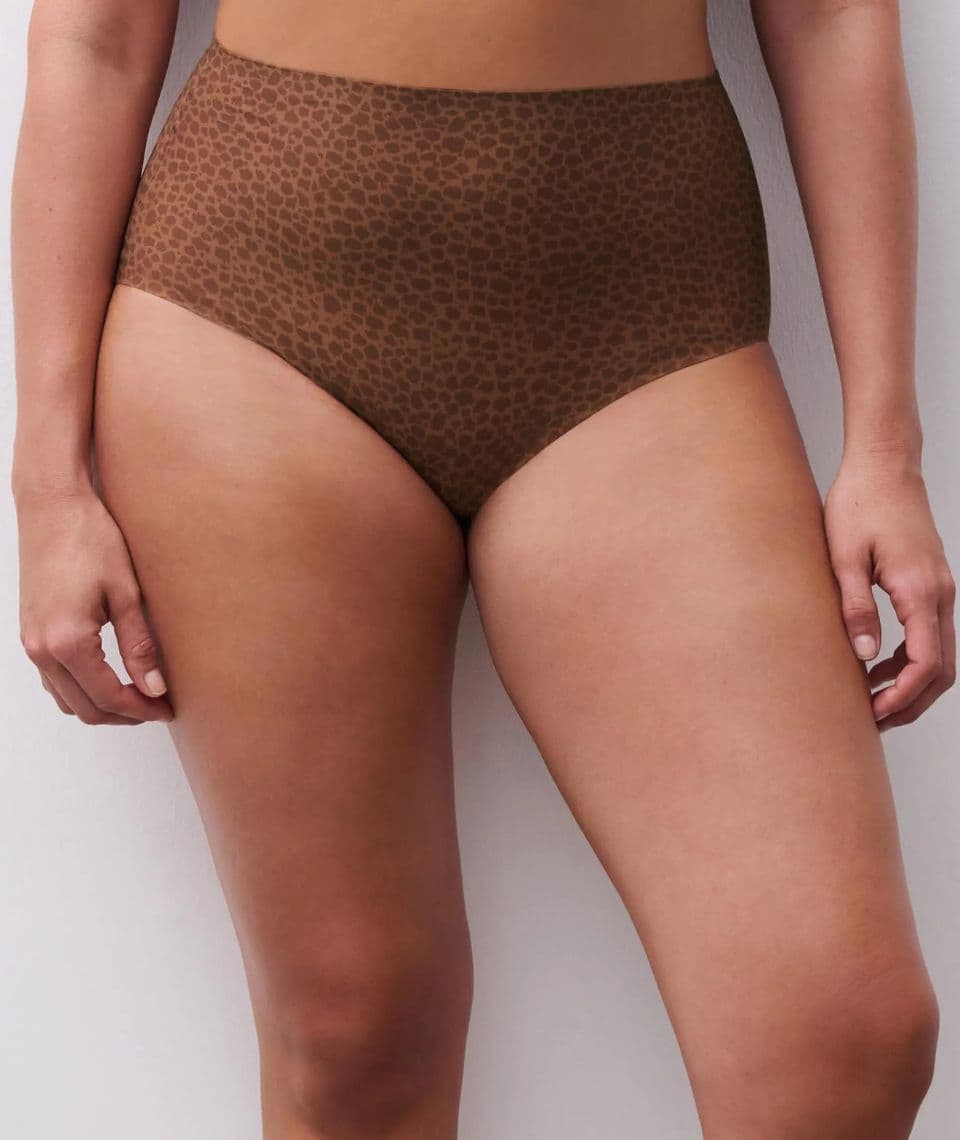 Person wearing a high-waisted, brown leopard print underwear standing against a white background.