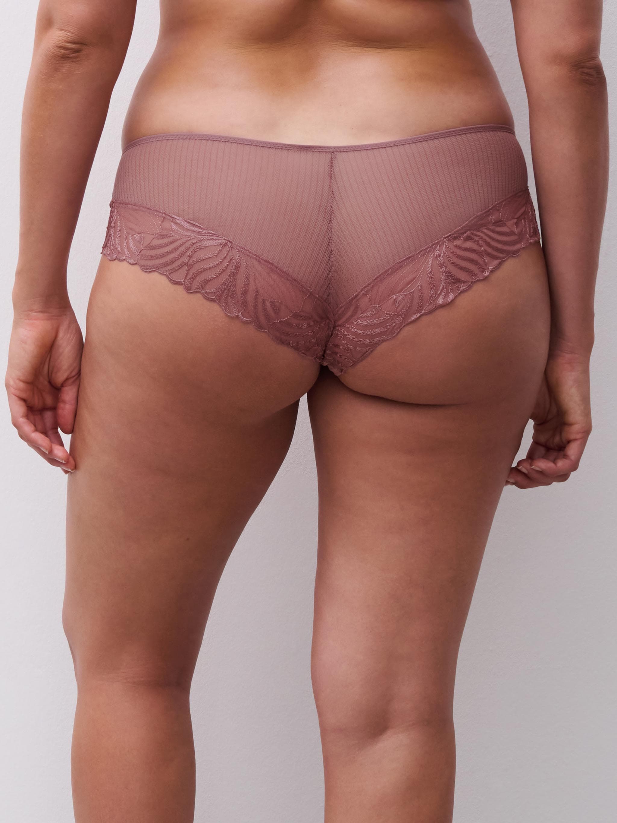 Shorty - Rose des bois