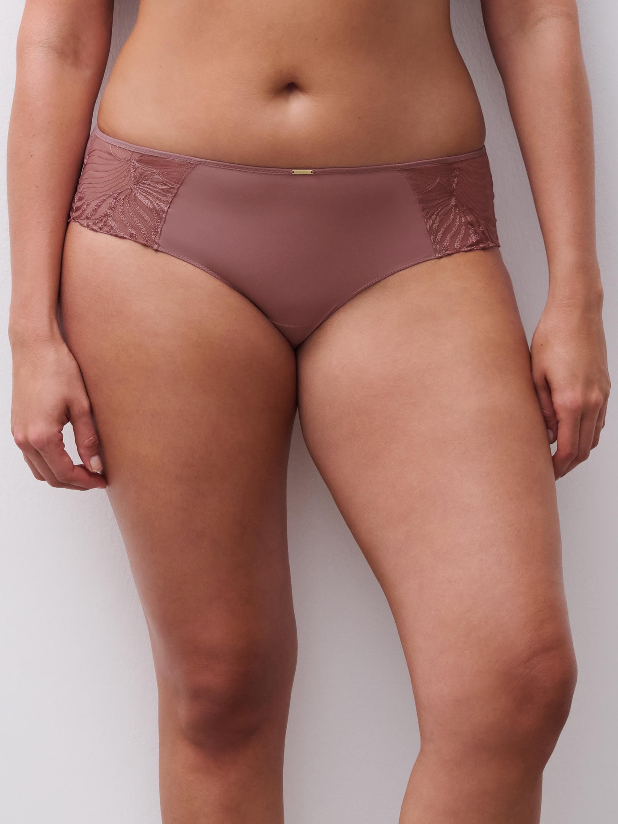 Shorty - Rose des bois