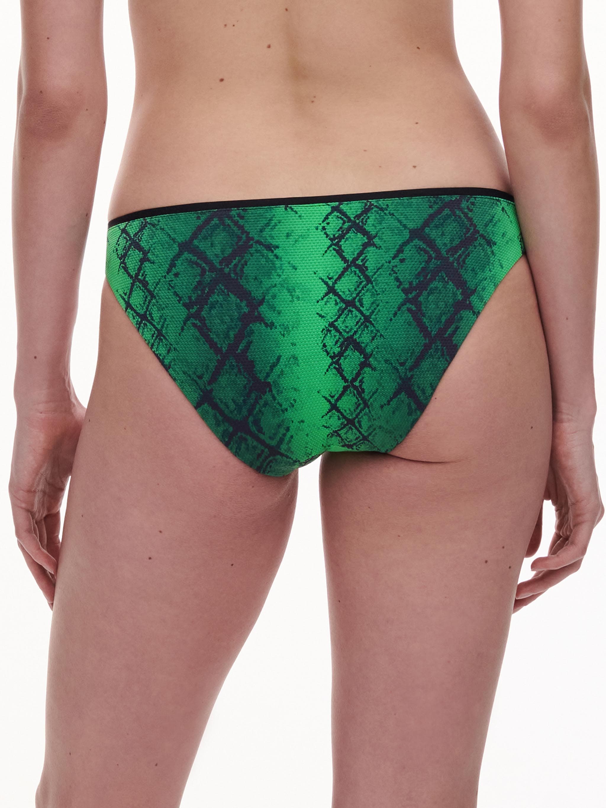Bas de maillot de bain slip - Python vert