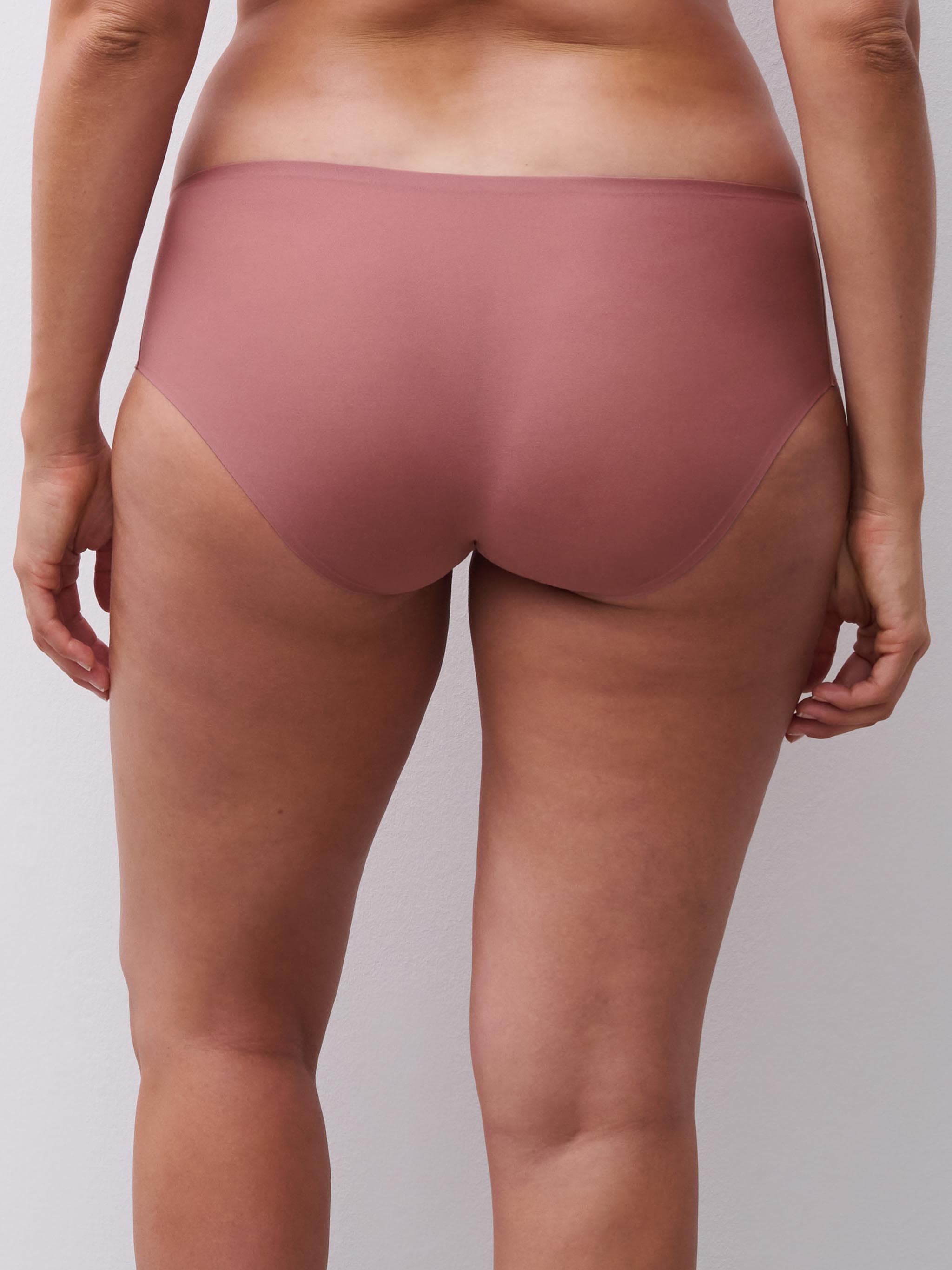 Shorty - Rose des bois