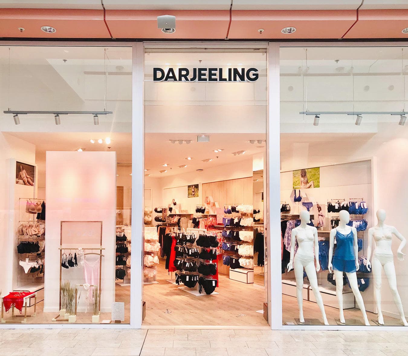 Darjeeling Roncq image #1