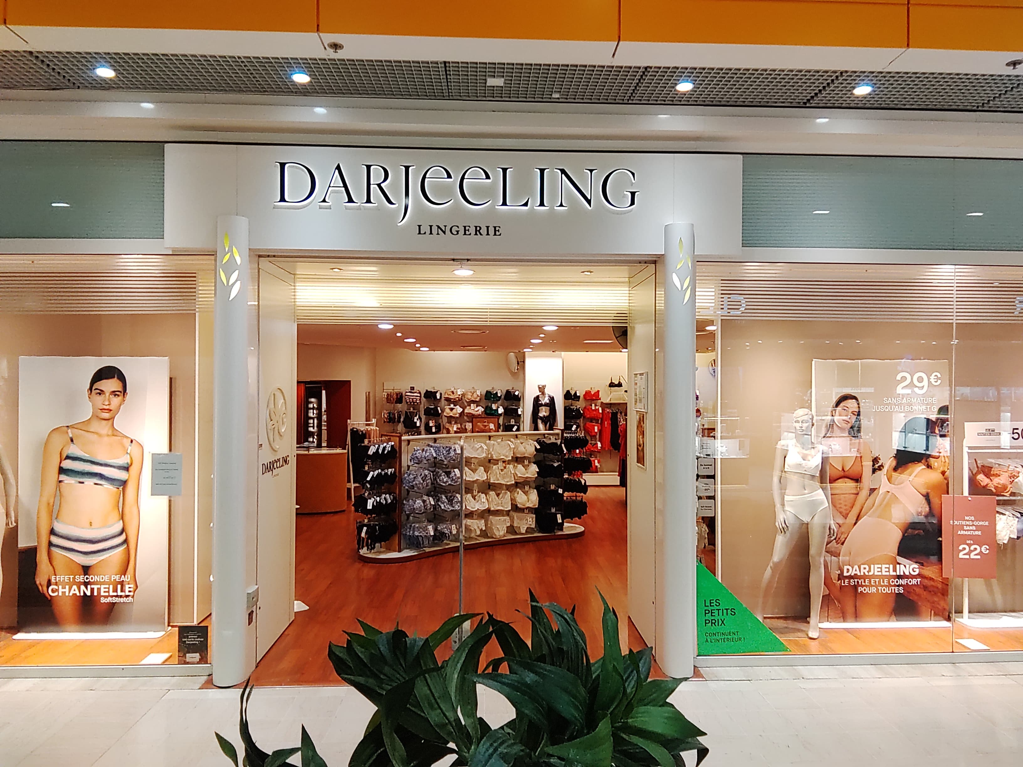 Darjeeling Flers-en-Escrebieux image #0