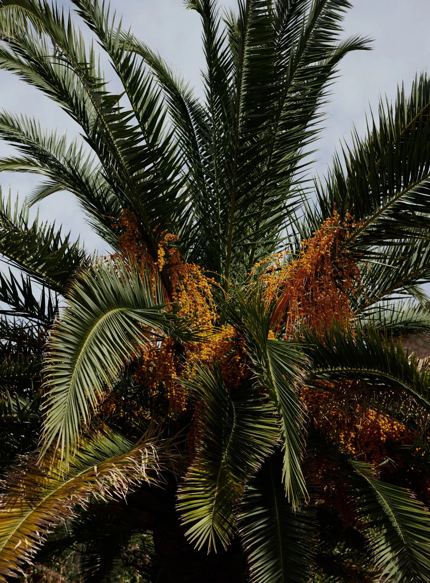 Image d'illustration pour le lien vers la page "Voir toute la sélection bain"