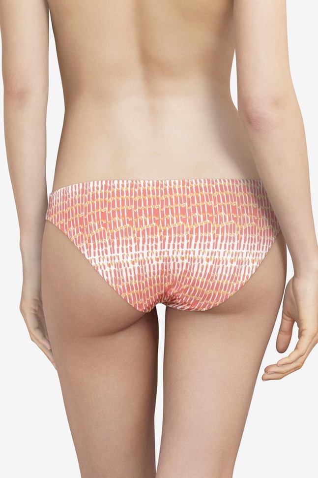 SW BO. BRIEF Shades Chantelle