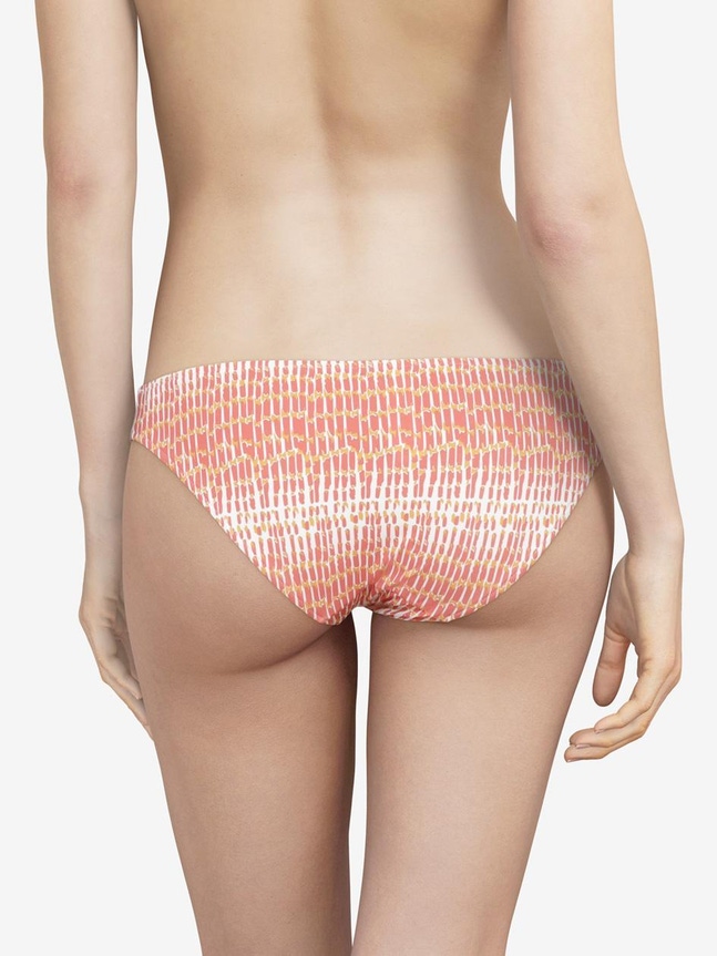 SW BO. BRIEF Shades Chantelle