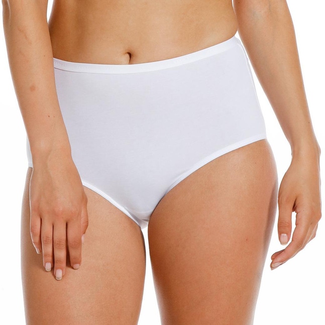 Culotte taille haute Basic Cotton Femilet