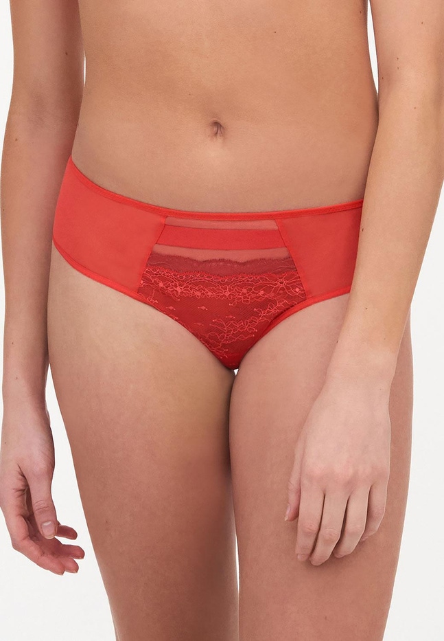 Shorty Neela Passionata