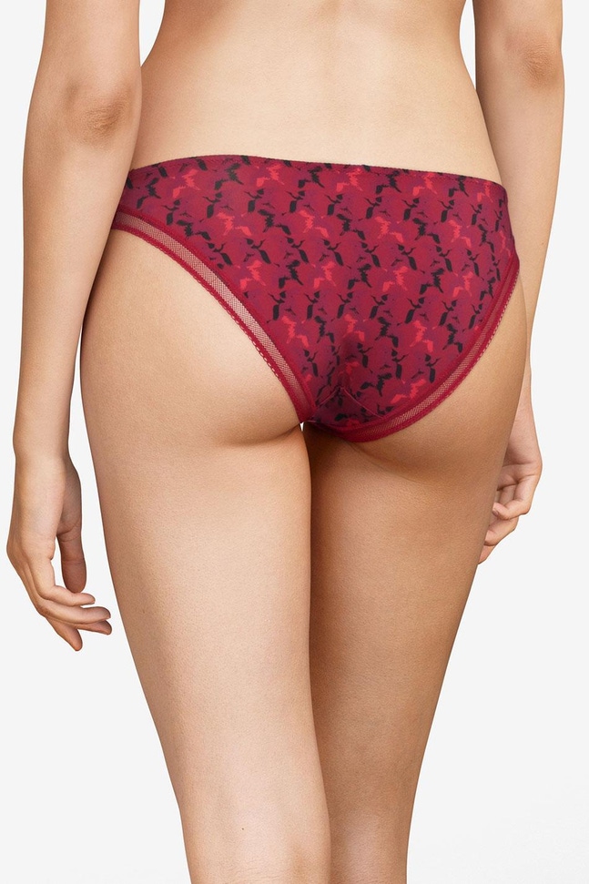 Slip Imagine Passionata