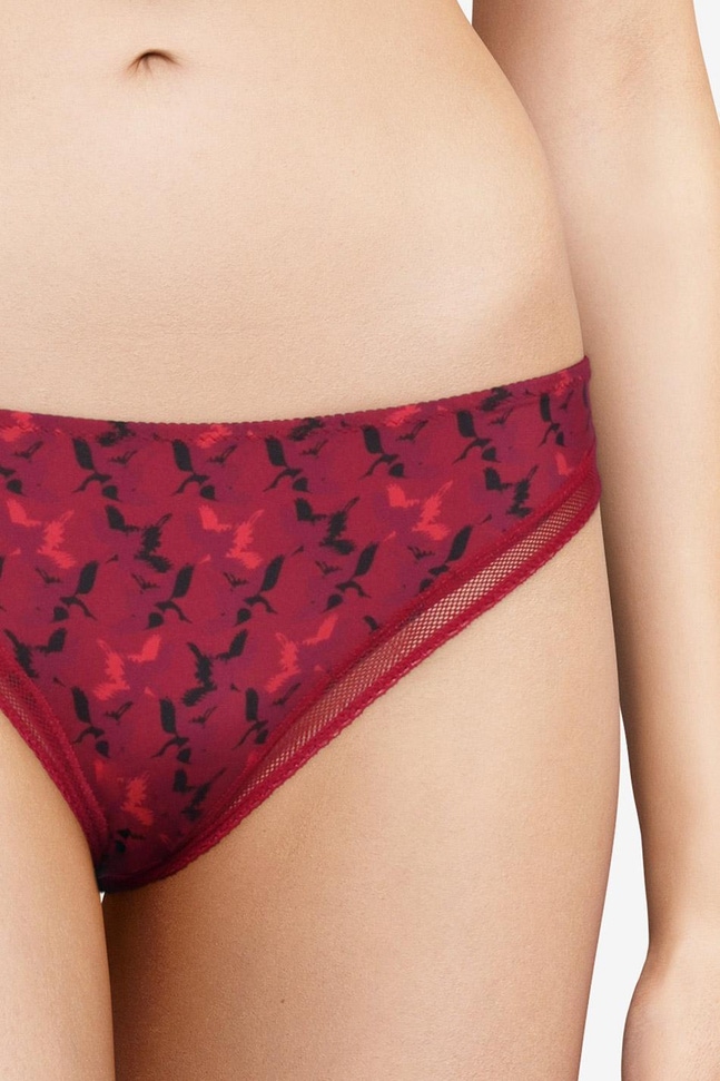 Slip Imagine Passionata