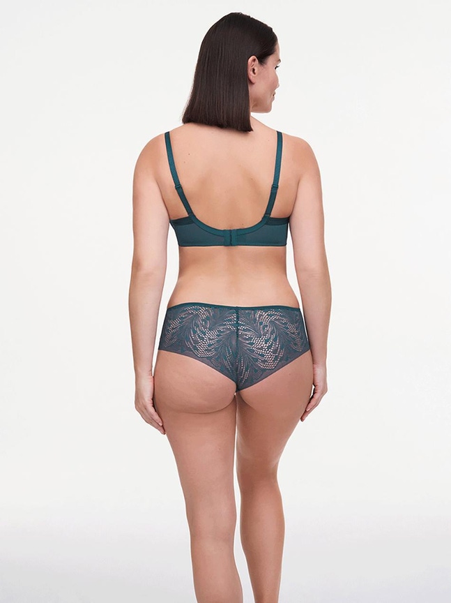 Shorty Thelma Passionata