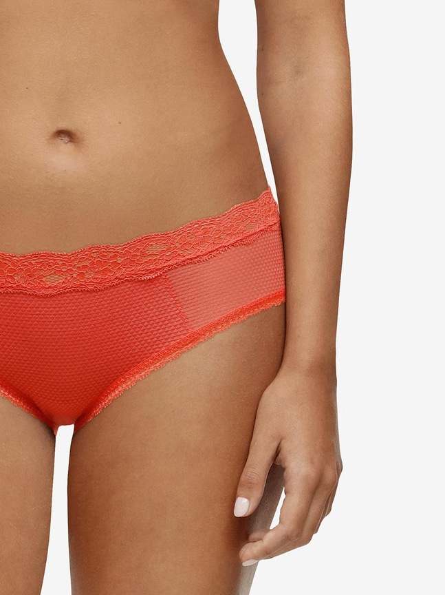 Shorty Brooklyn Passionata
