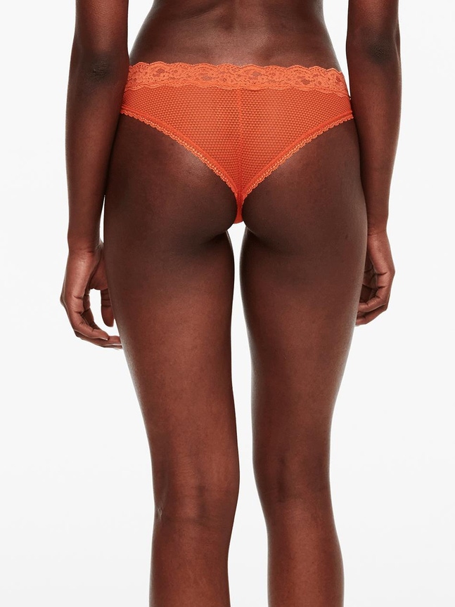 Tanga Brooklyn Passionata