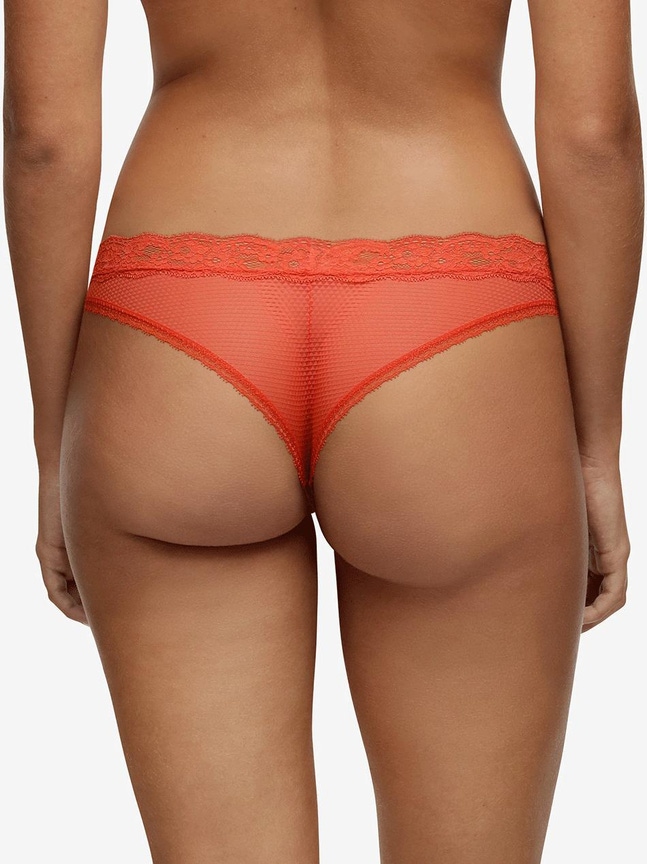 Tanga Brooklyn Passionata