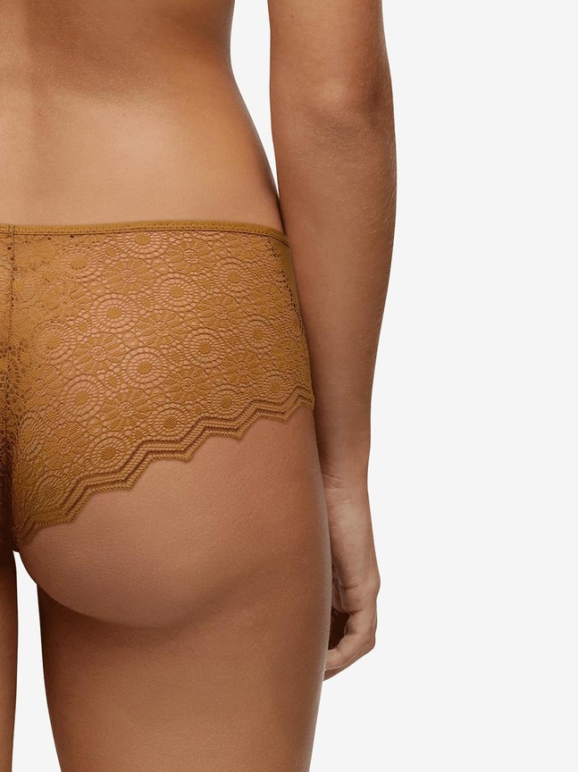 Shorty Georgia Passionata