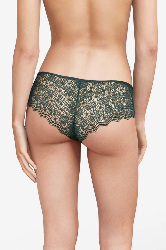 Shorty Georgia Passionata