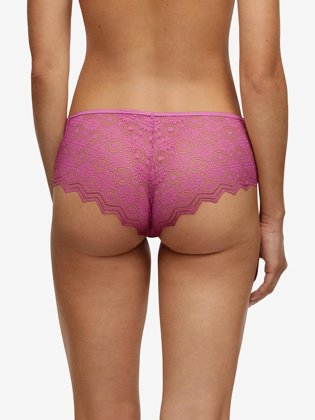 Shorty Georgia Passionata
