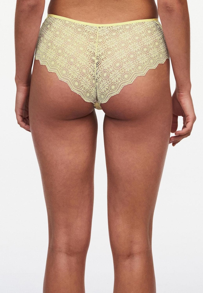Shorty Georgia Passionata