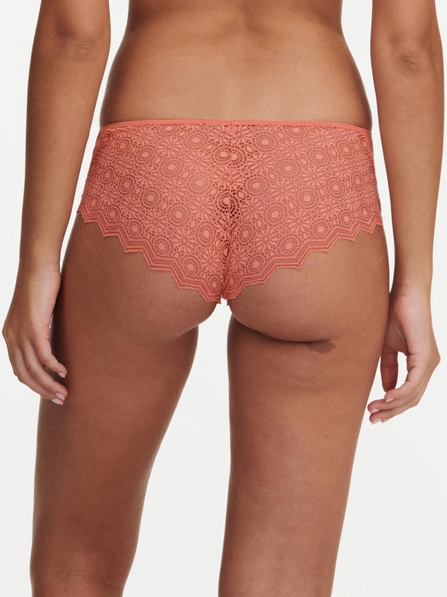 Shorty Georgia Passionata