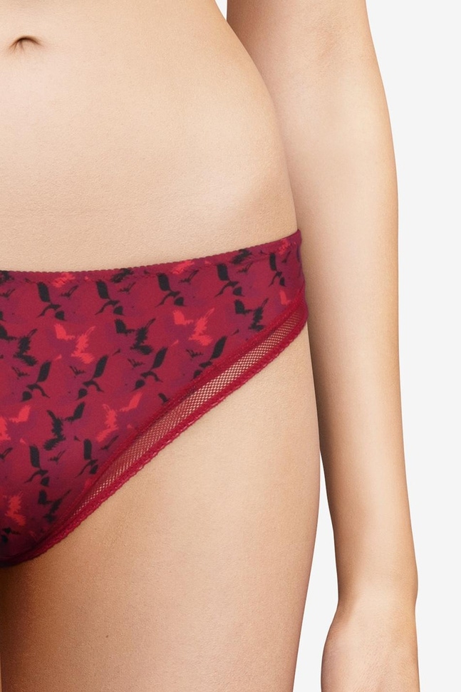 Slip Imagine Passionata