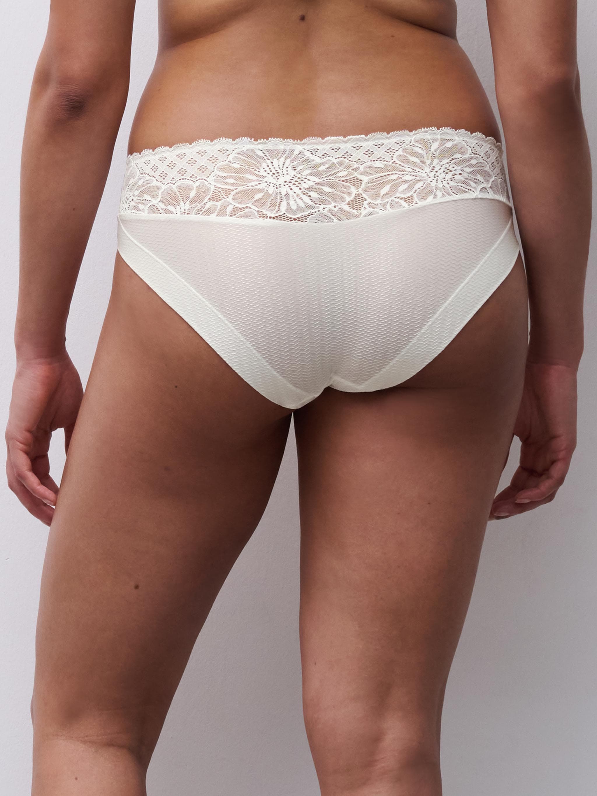 Full brief - Milk