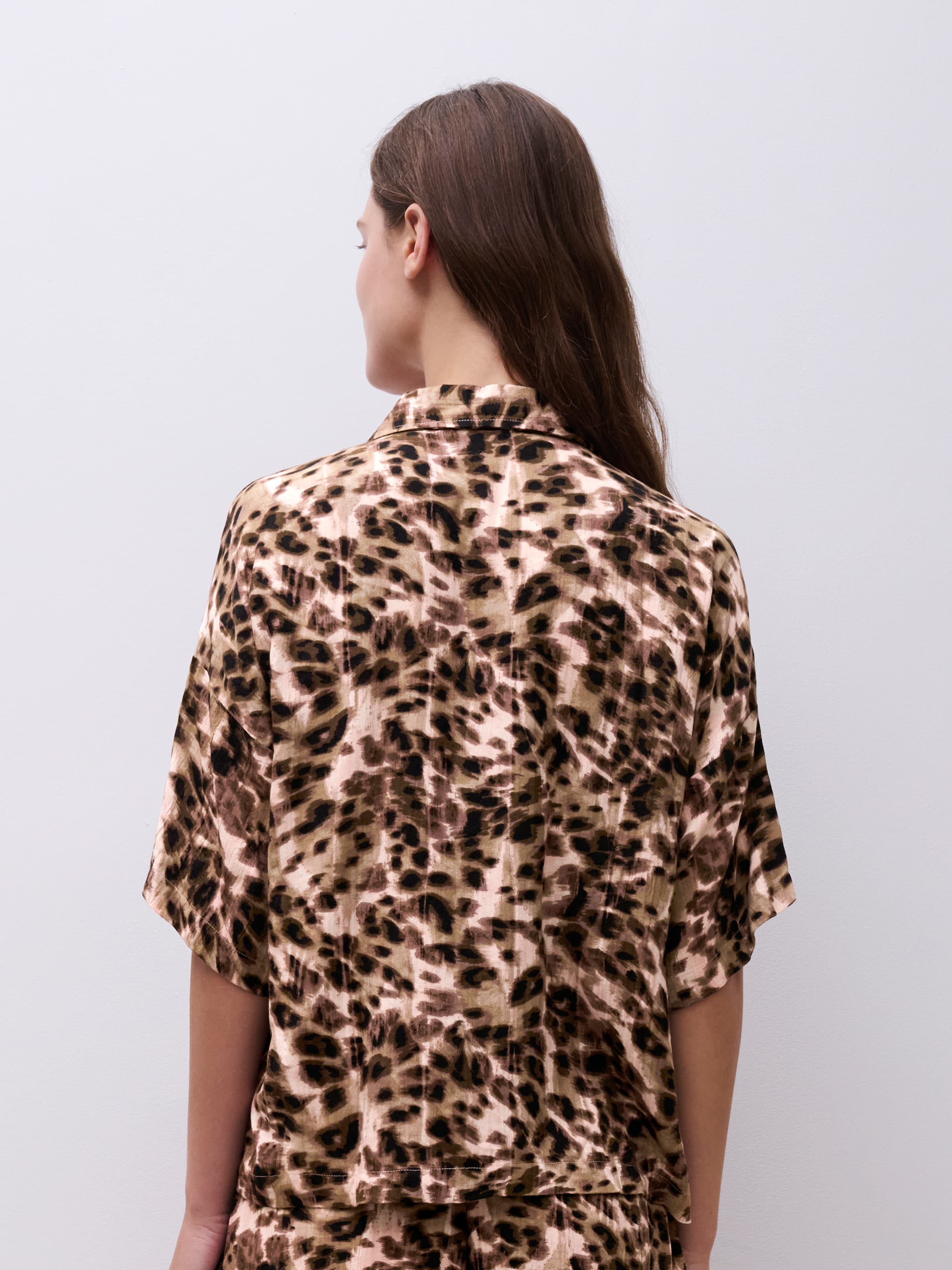 Short-sleeved shirt - Acorn leo